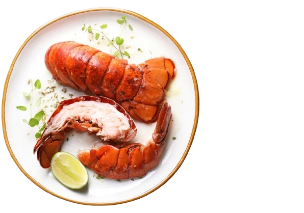 Waiter Course (Eshwitha International)